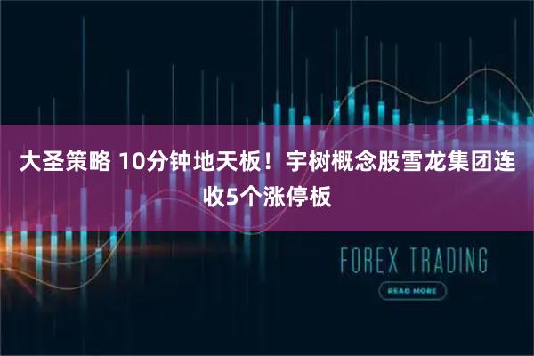 大圣策略 10分钟地天板！宇树概念股雪龙集团连收5个涨停板