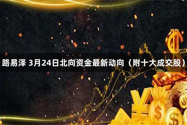 路易泽 3月24日北向资金最新动向（附十大成交股）