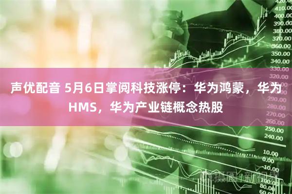 声优配音 5月6日掌阅科技涨停：华为鸿蒙，华为HMS，华为产业链概念热股