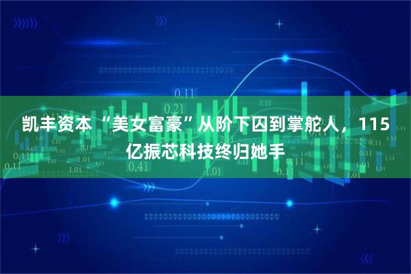 凯丰资本 “美女富豪”从阶下囚到掌舵人，115亿振芯科技终归她手