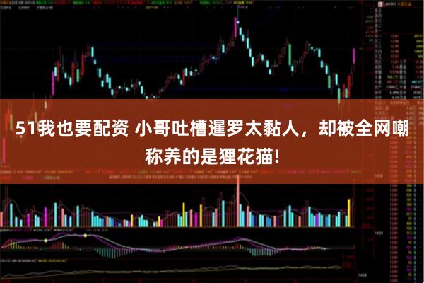 51我也要配资 小哥吐槽暹罗太黏人，却被全网嘲称养的是狸花猫!