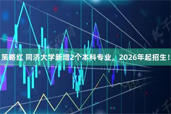 策略红 同济大学新增2个本科专业，2026年起招生！